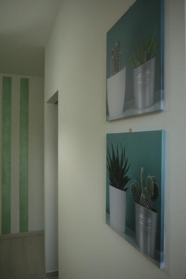 B&B Teresina Grisolia Exterior foto