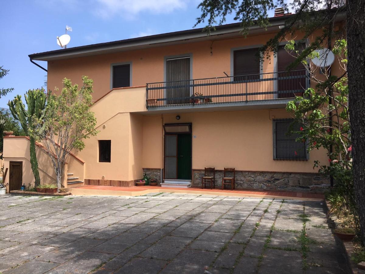 B&B Teresina Grisolia Exterior foto